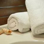 Atrium Thassos ポトス